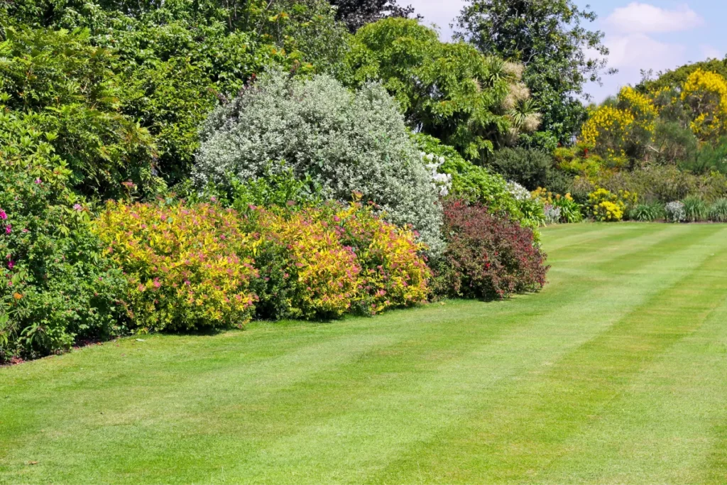 lawn care