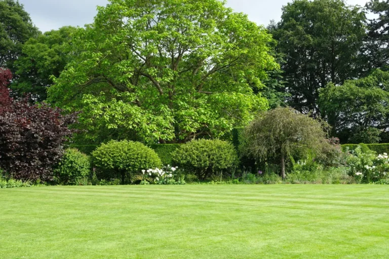 lawn care