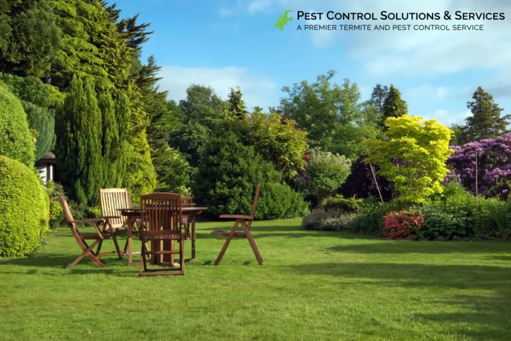 beautiful lawn