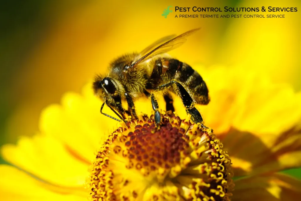 bee on the flower